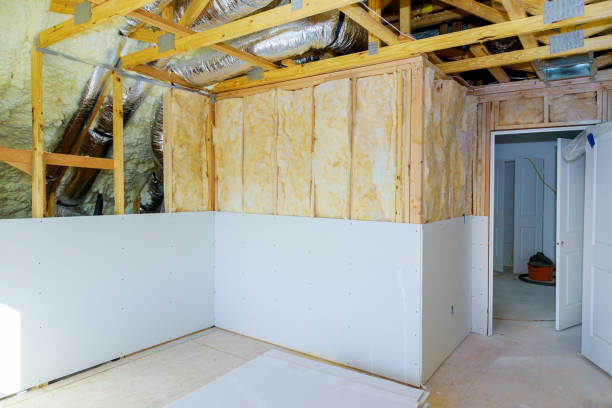 Best Insulation Maintenance and Repair in USA